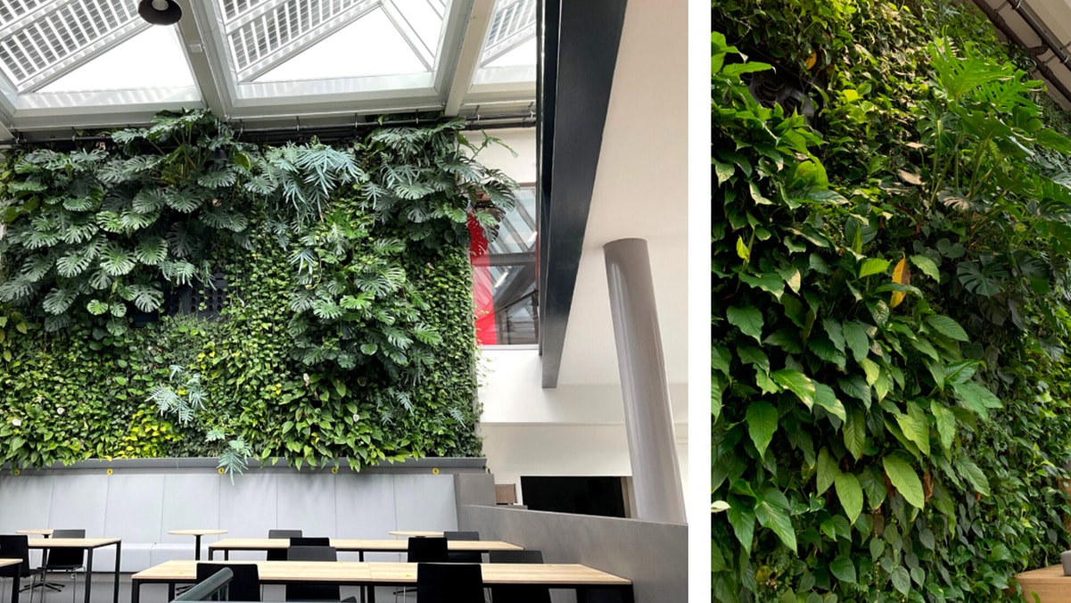 SemperGreenwall Mercedes Benz Headquarters Nieuwegein