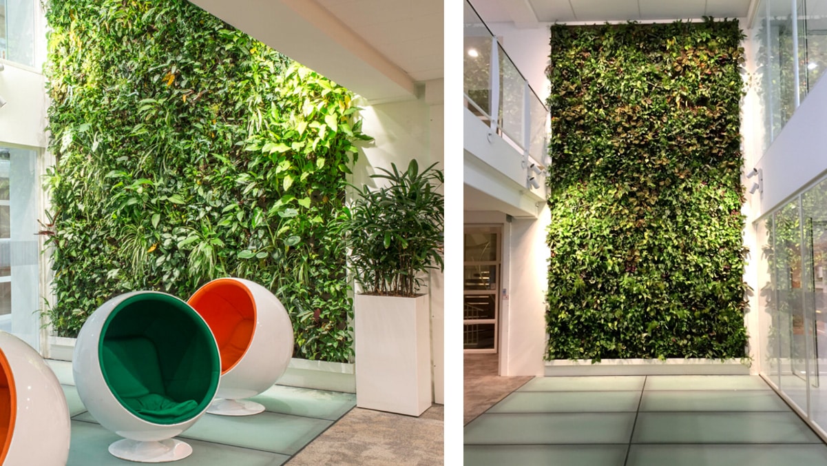 SemperGreenwall Avans University of Applied Sciences Den Bosch The Netherlands