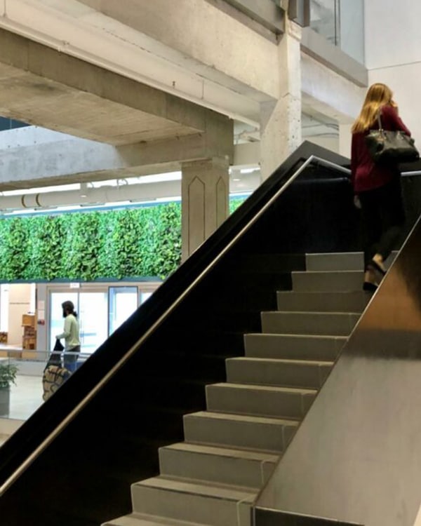 SemperGreenwall University Chicago