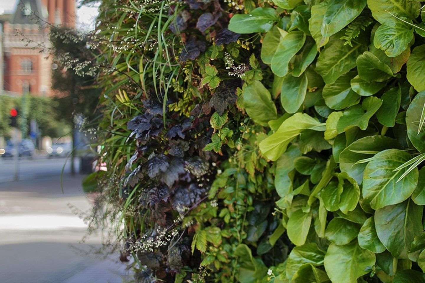 The-five-most-remarkable benefits of green renovation banner