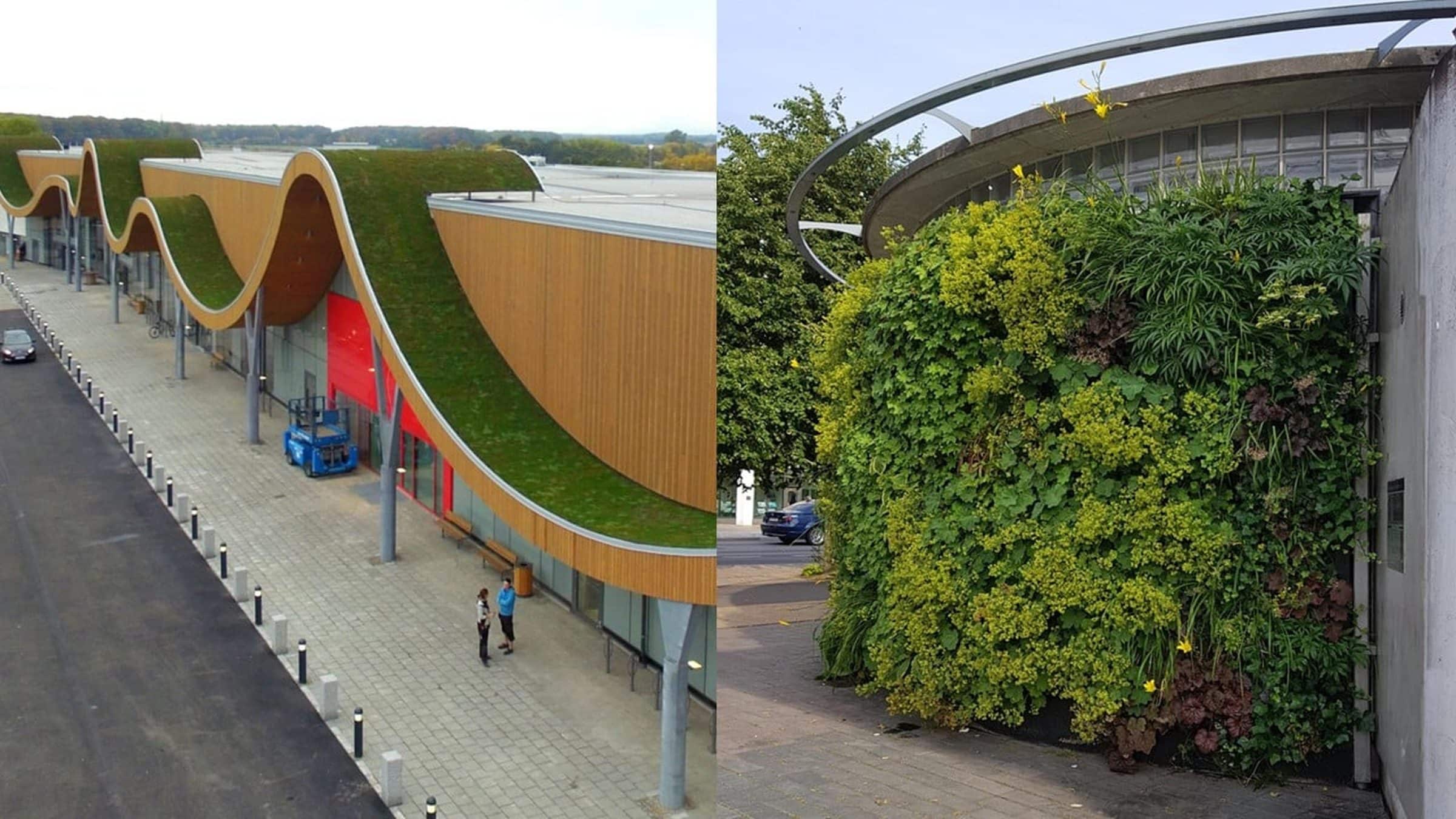 Groendak en groene gevels Sempergreen
