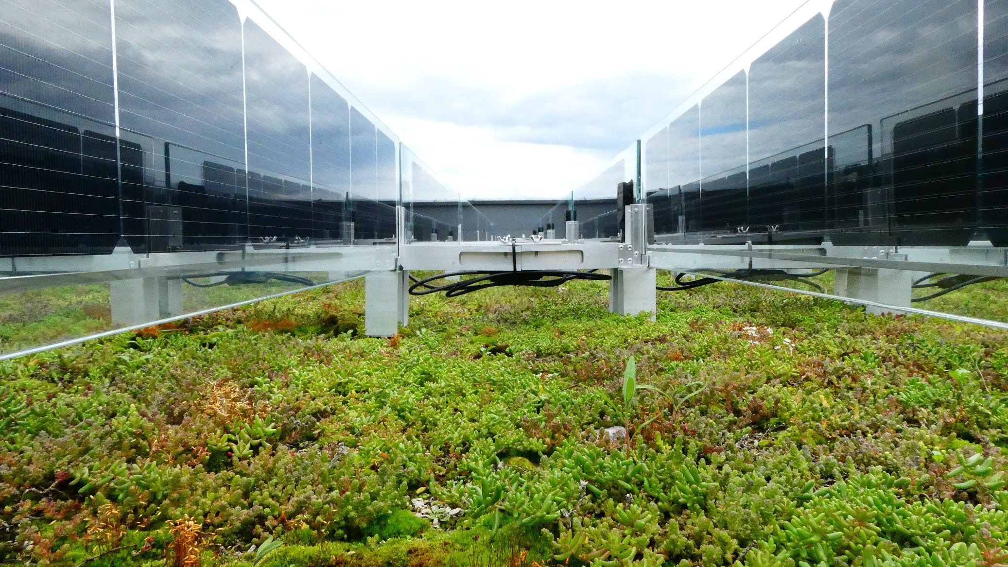 Groendak met solar