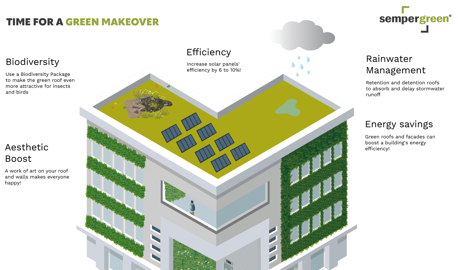 sustainable renovation