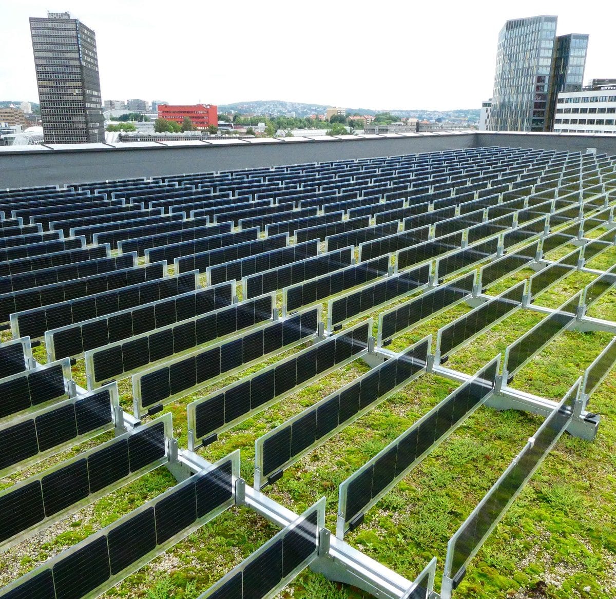 Bifacial zonnepanelen op groendak Oslo