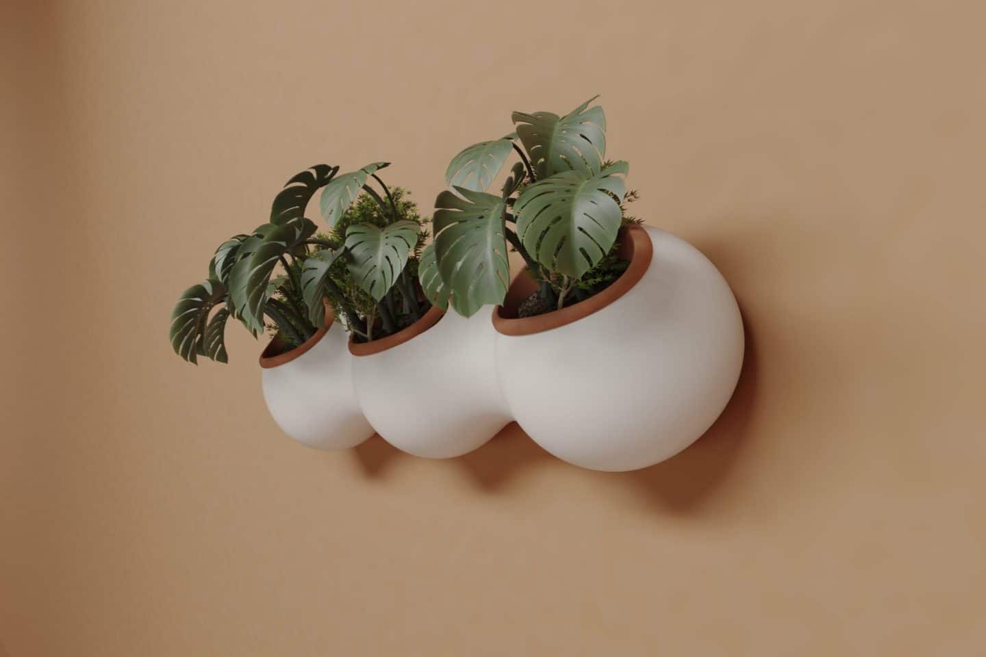 Wallblooom render
