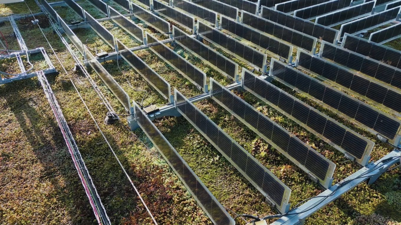 Verticale zonnepanelen op groendak