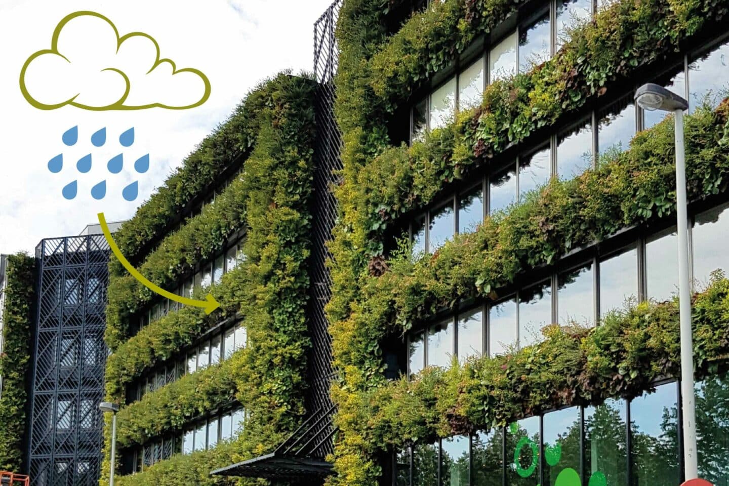 SemperGreenwall irrigation reusing rainwater