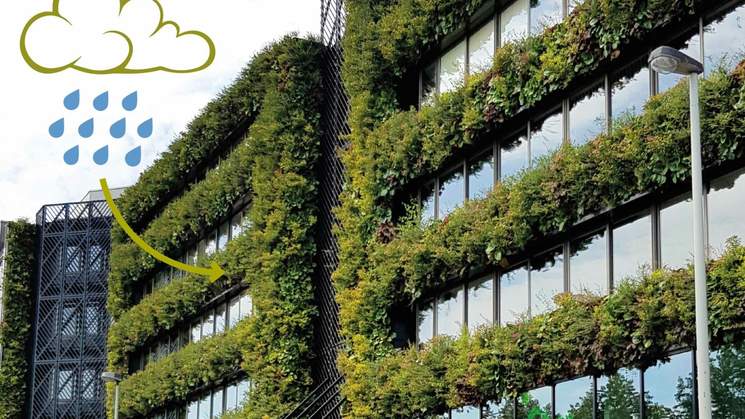 SemperGreenwall irrigation reusing rainwater