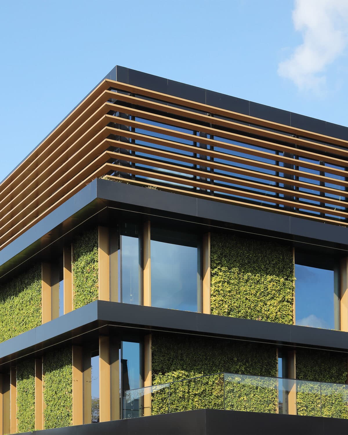 Plantenwand MCX Apeldoorn
