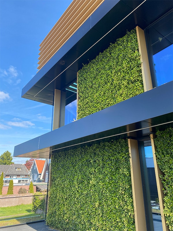 Groene gevelvlakken Apeldoorn MCX Sempergreen