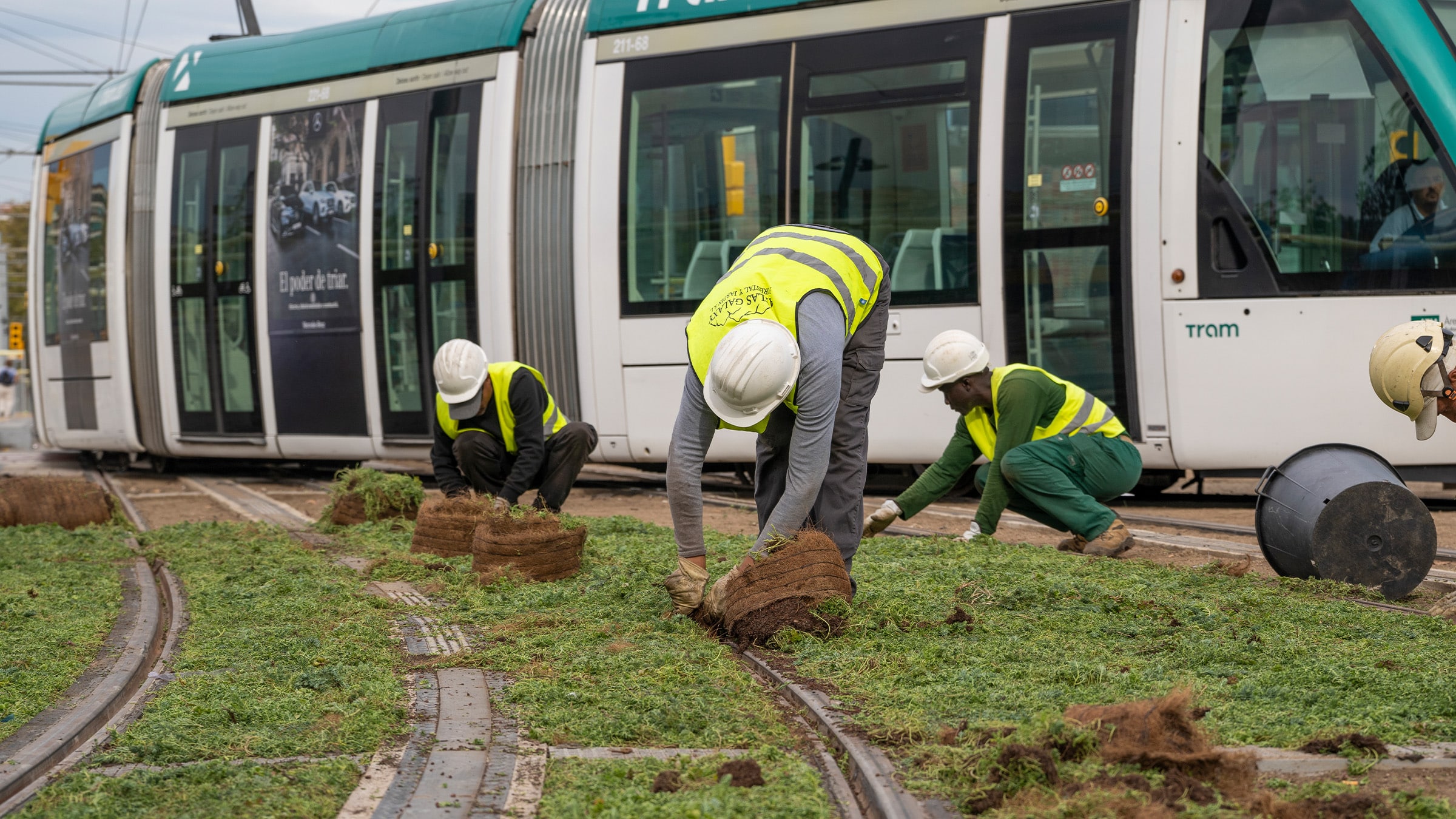 Trambaan met Sedummatten