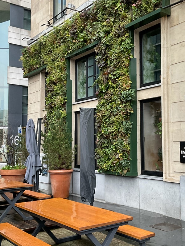 Groene gevel buiten Hotel Brussel