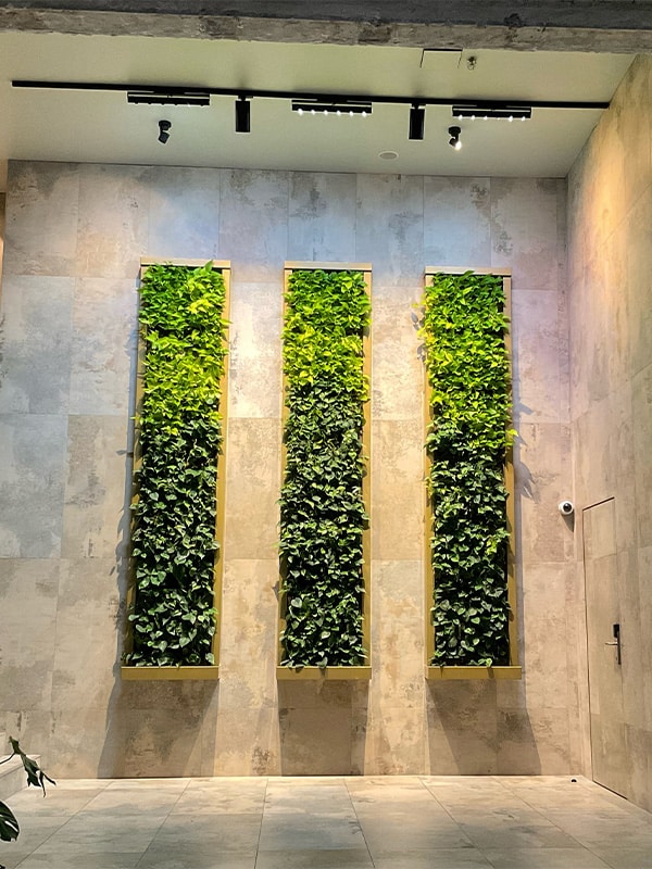 Groene gevel binnen Hotel Brussel
