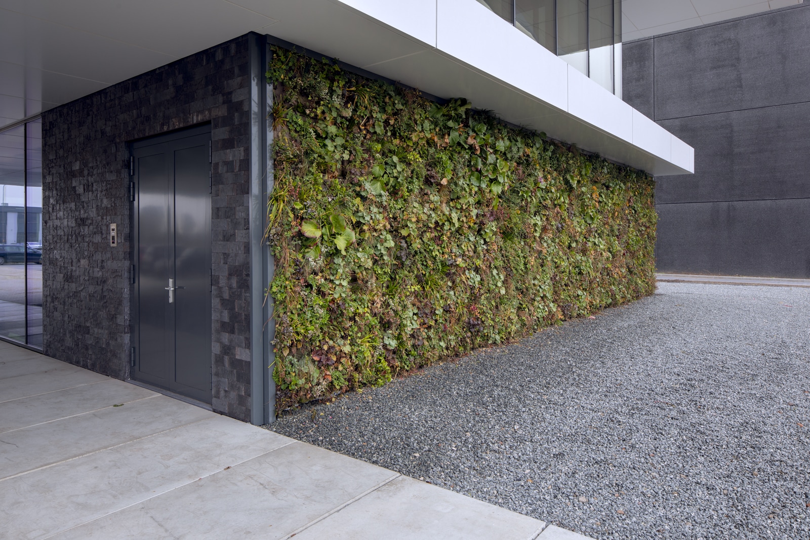 SemperGreenwall outdoor Pleijsier Bouw Borghese Nijkerk