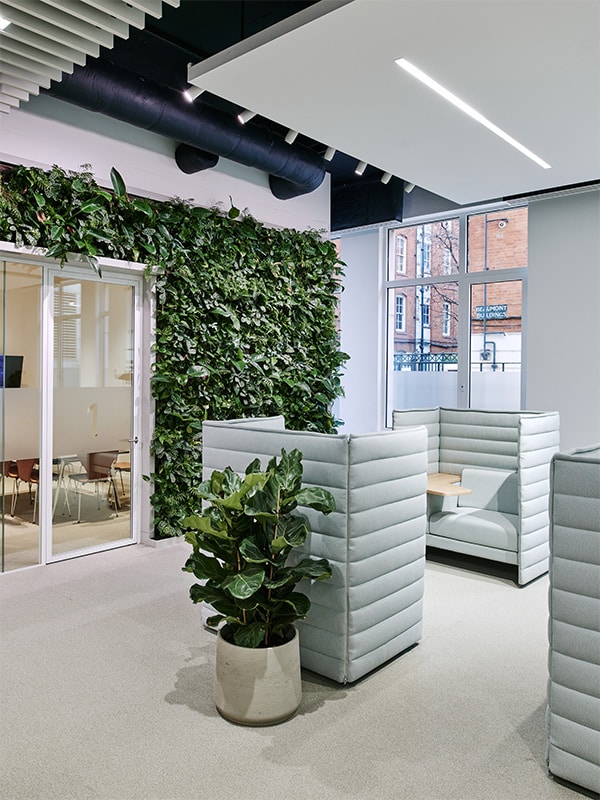 Sempergreen living wall London 3