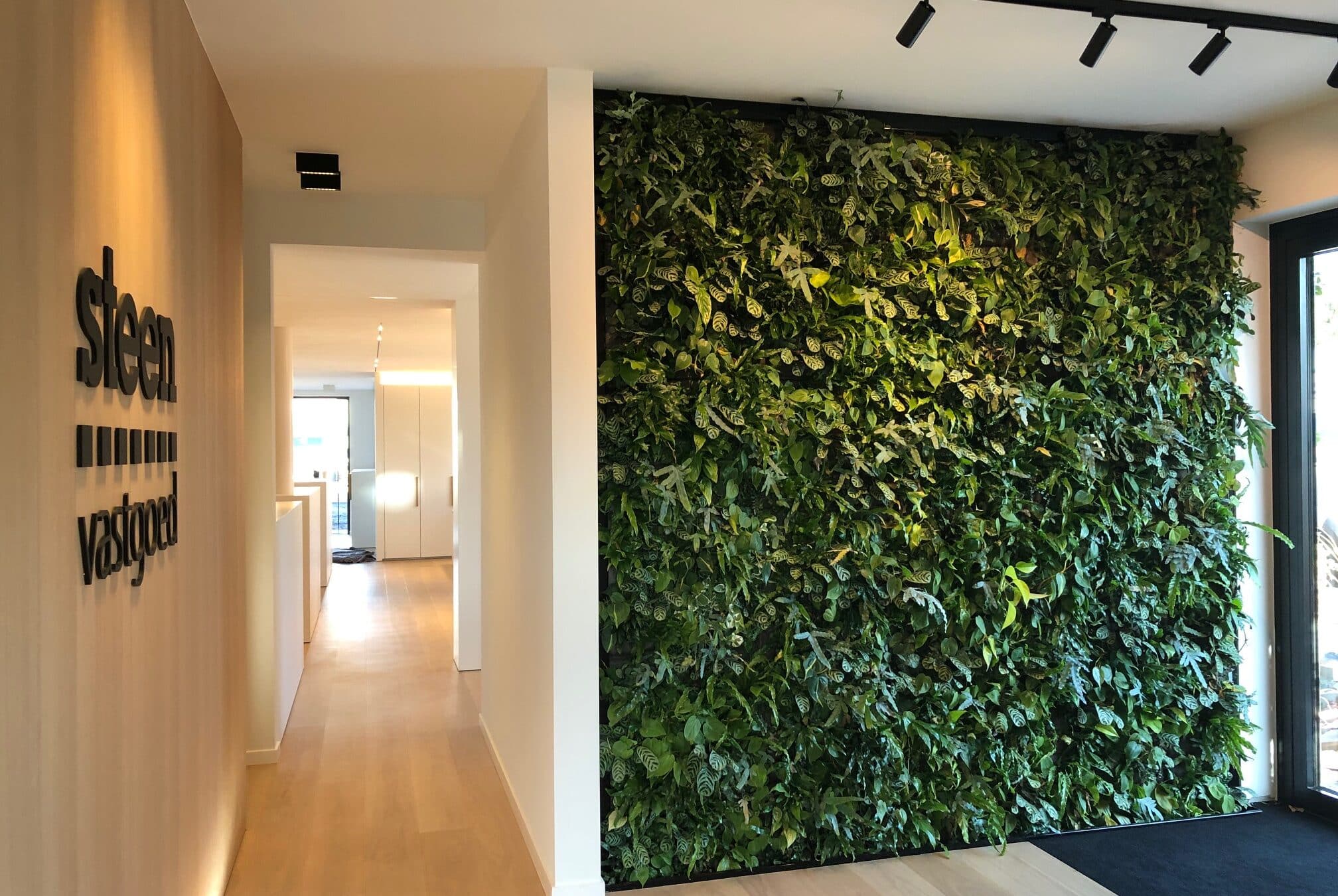 Steen Vastgoed SemperGreenwall indoor
