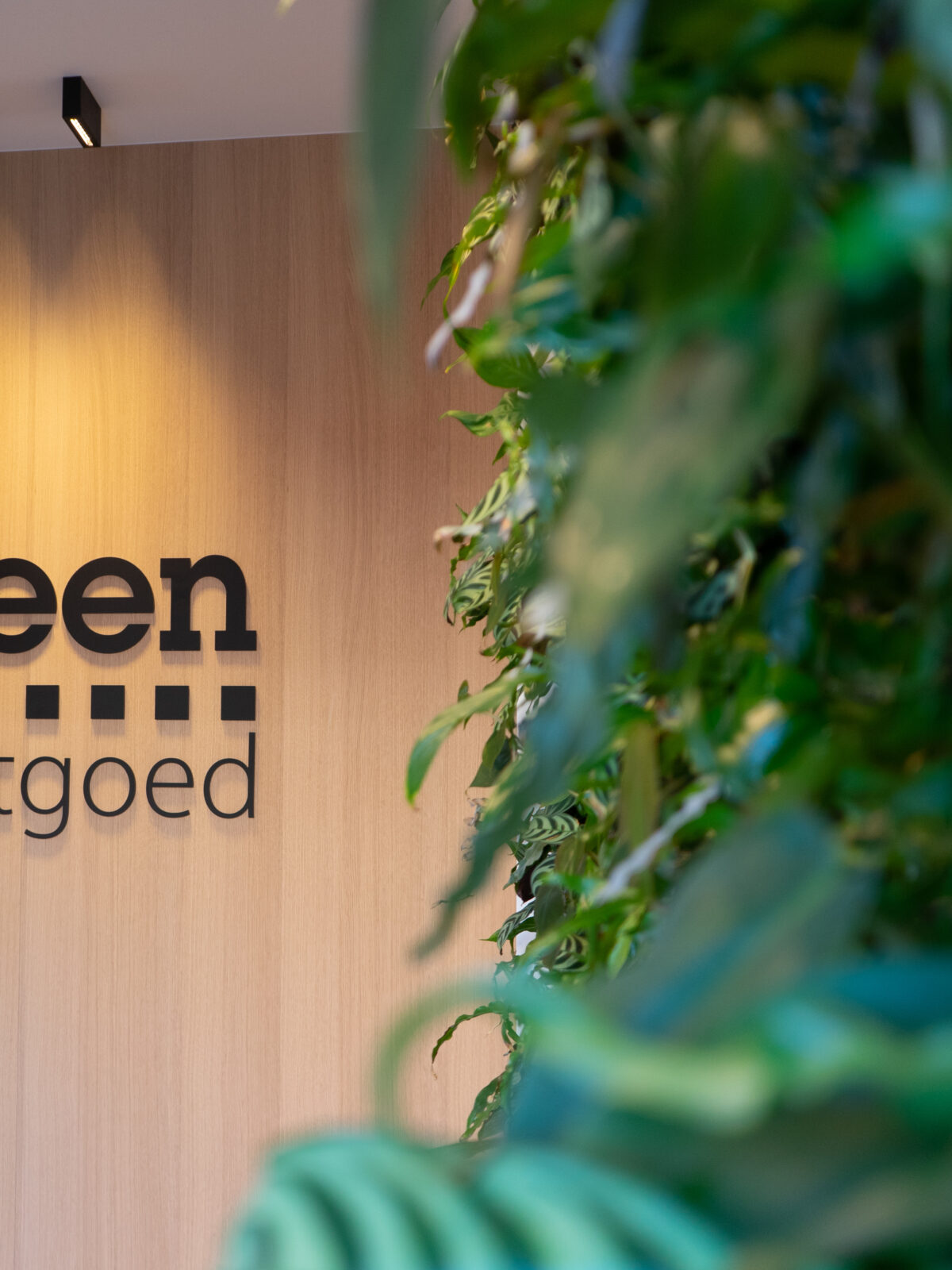 Steen Vastgoed groene gevel binnen