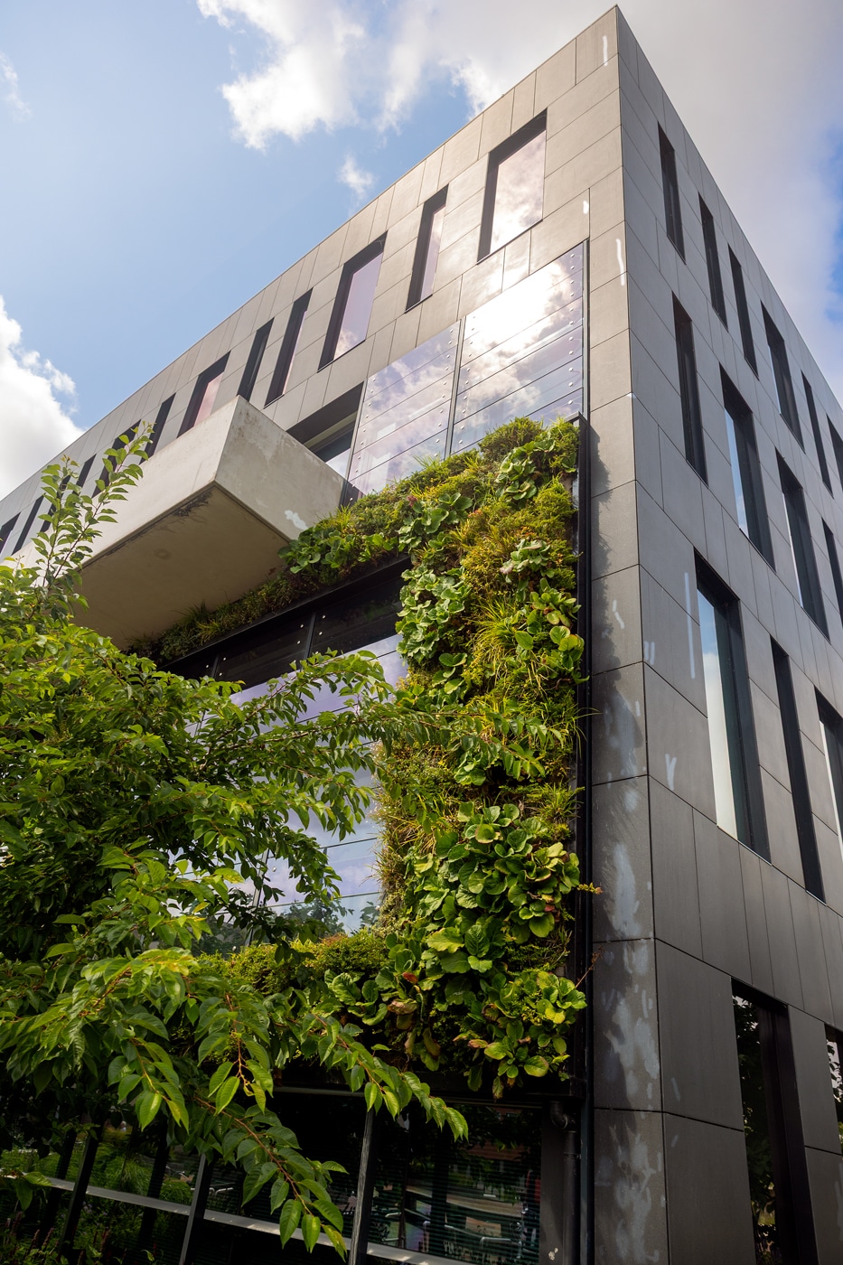 Gemeentehuis Heerhugowaard groene gevel Sempergreen