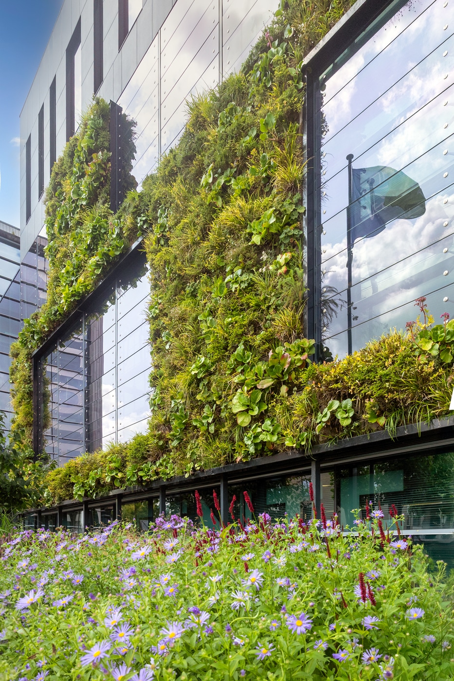 Gemeentehuis Heerhugowaard planten