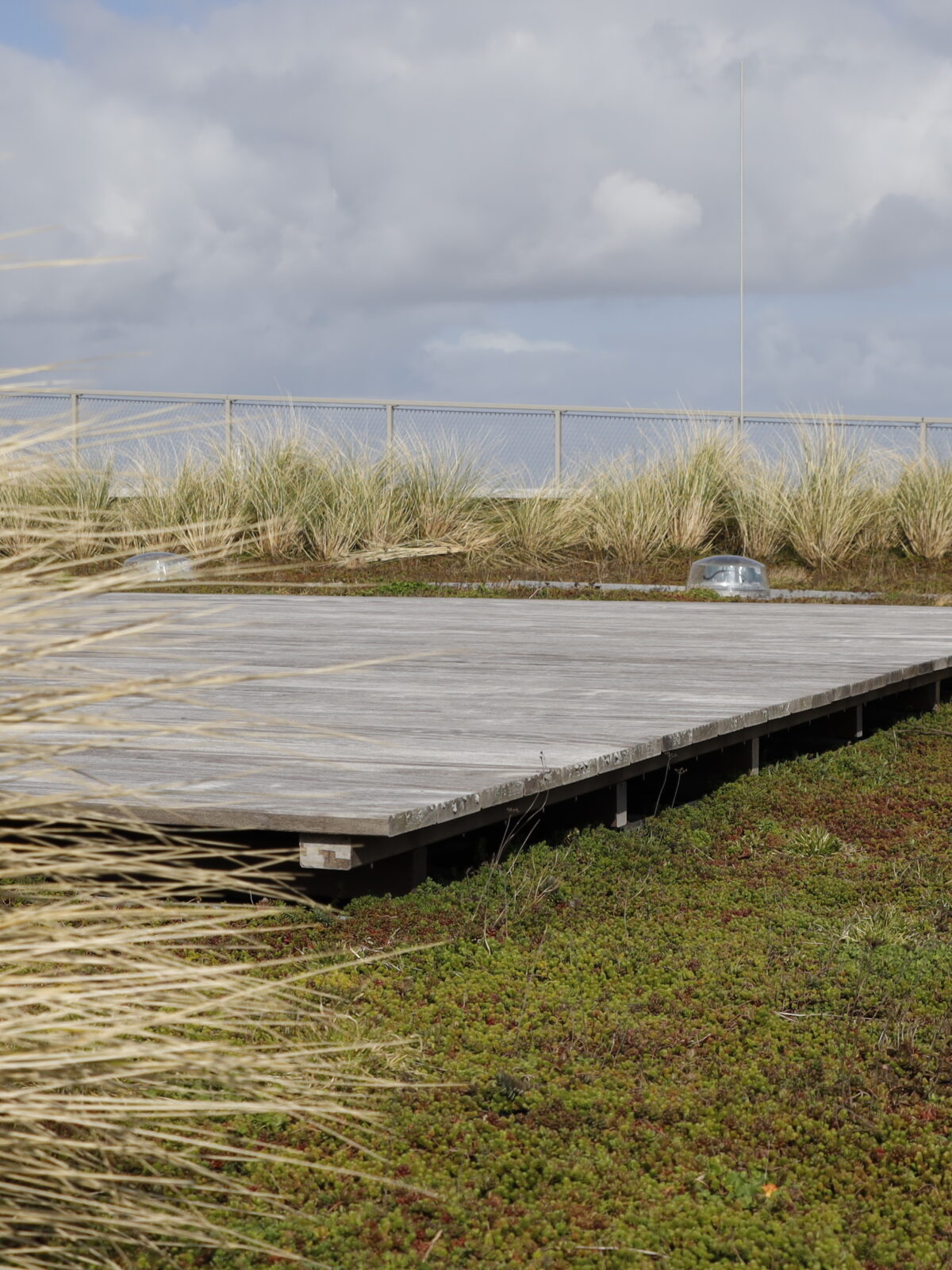 WEC Lauwersoog Sempergreen groendak