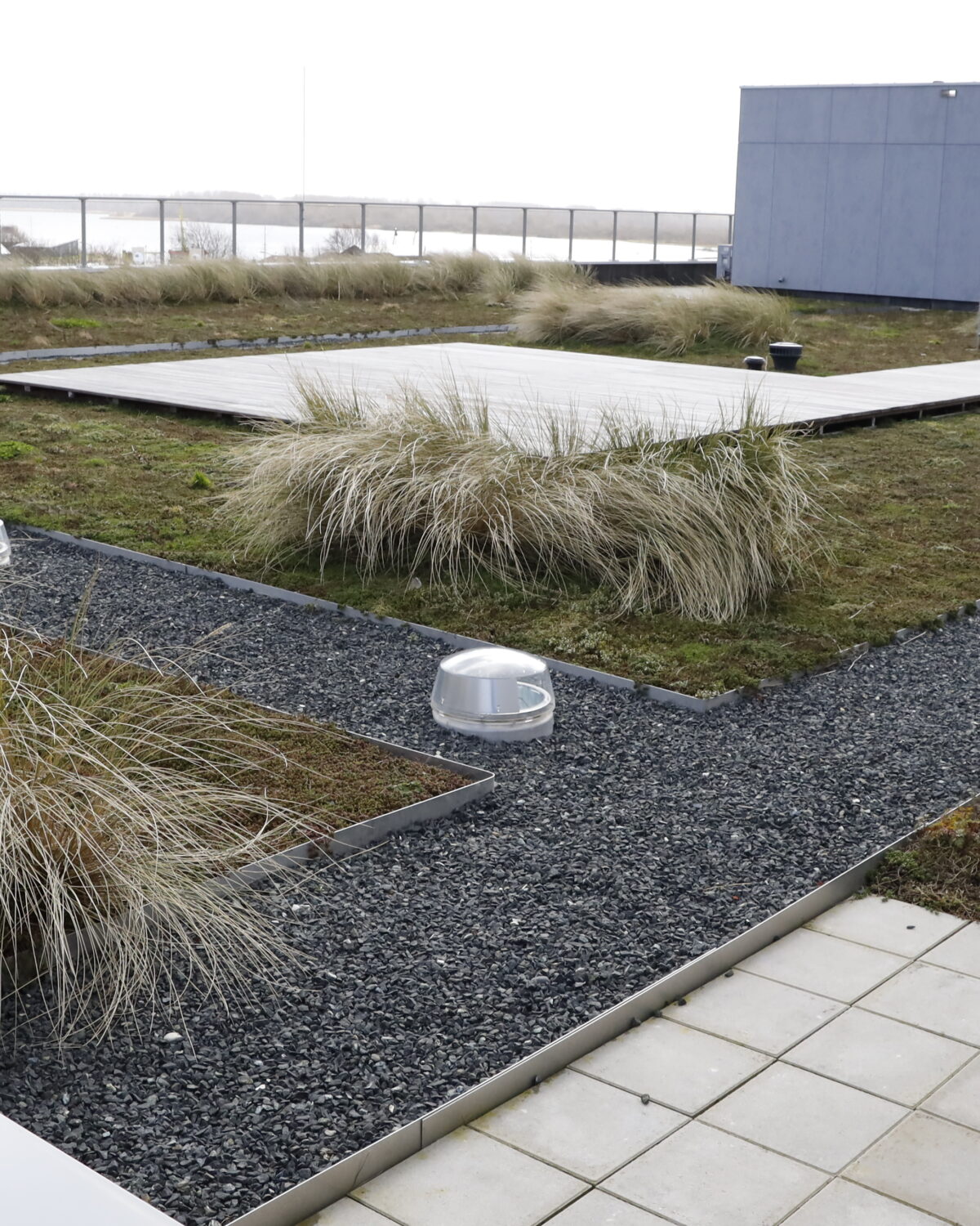 WEC Lauwersoog duurzaam design groendak