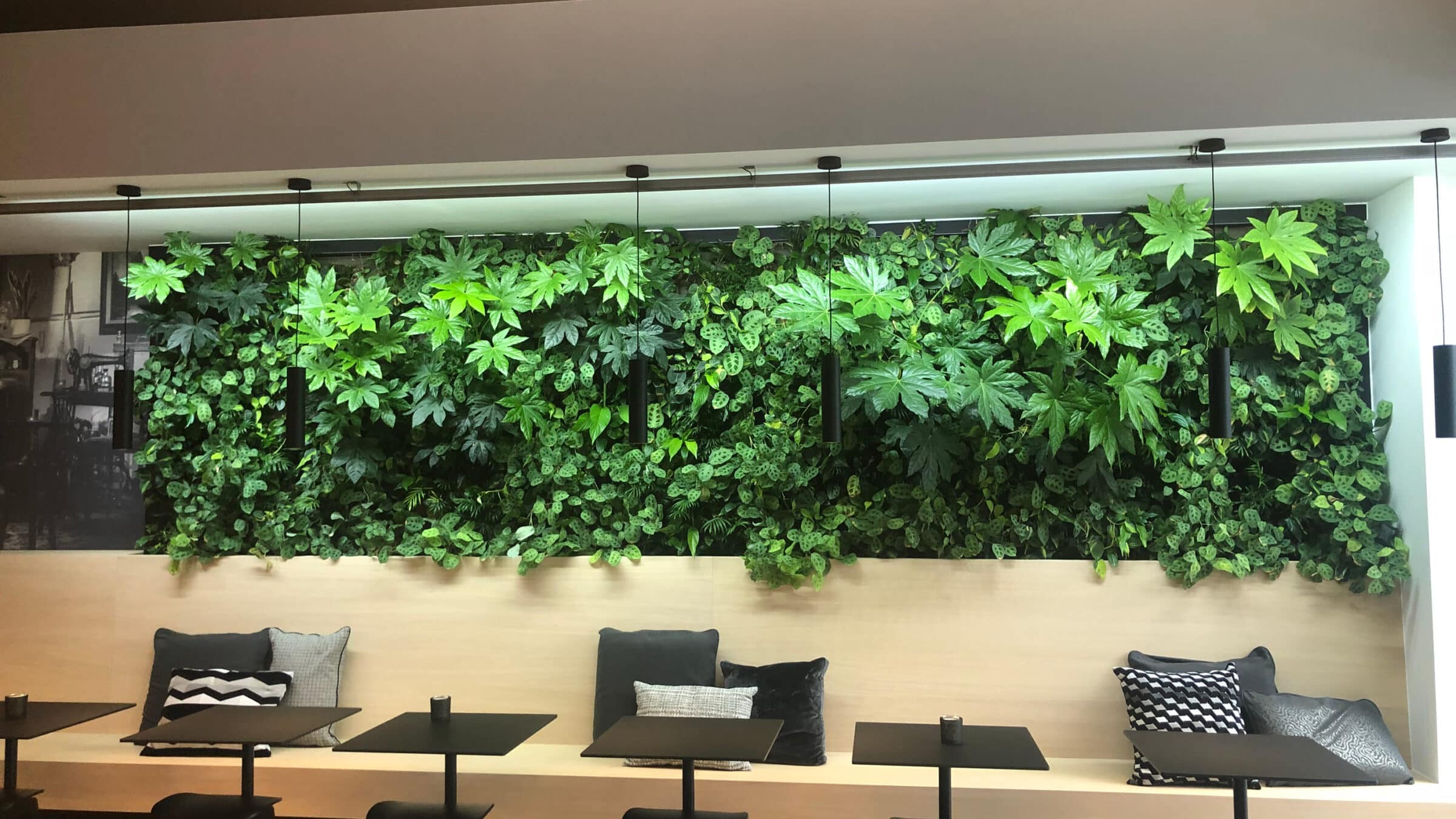 groene gevel Tectum Group Belgium