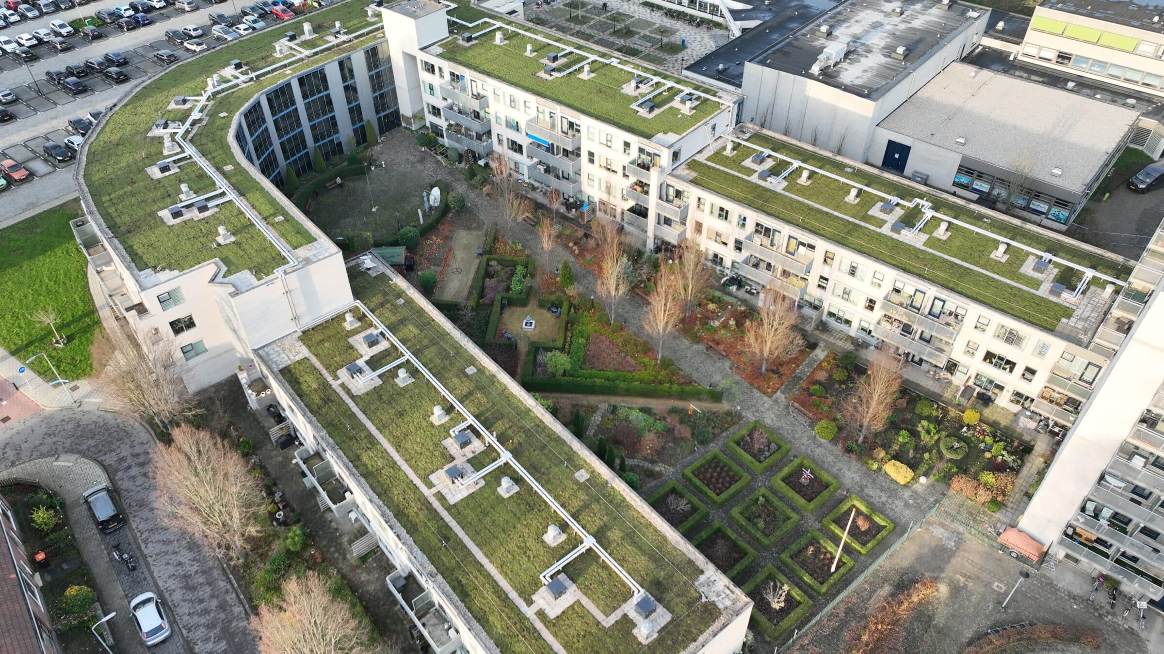 ontwerpen voor milieuvriendelijke oplossingen sedum Zwijndrecht