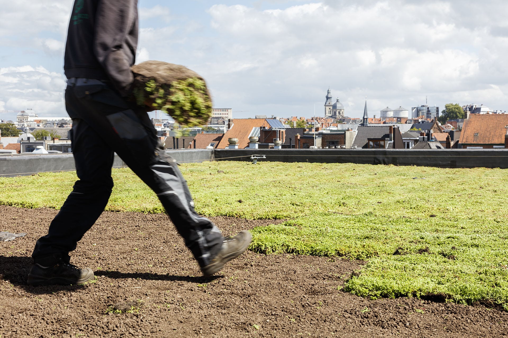 Installatie Sempergreen groendak