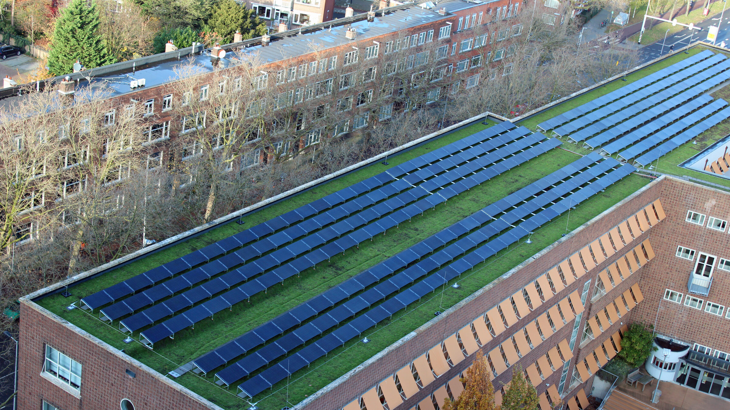 Sedumdak met zonnepanelen University Rotterdam