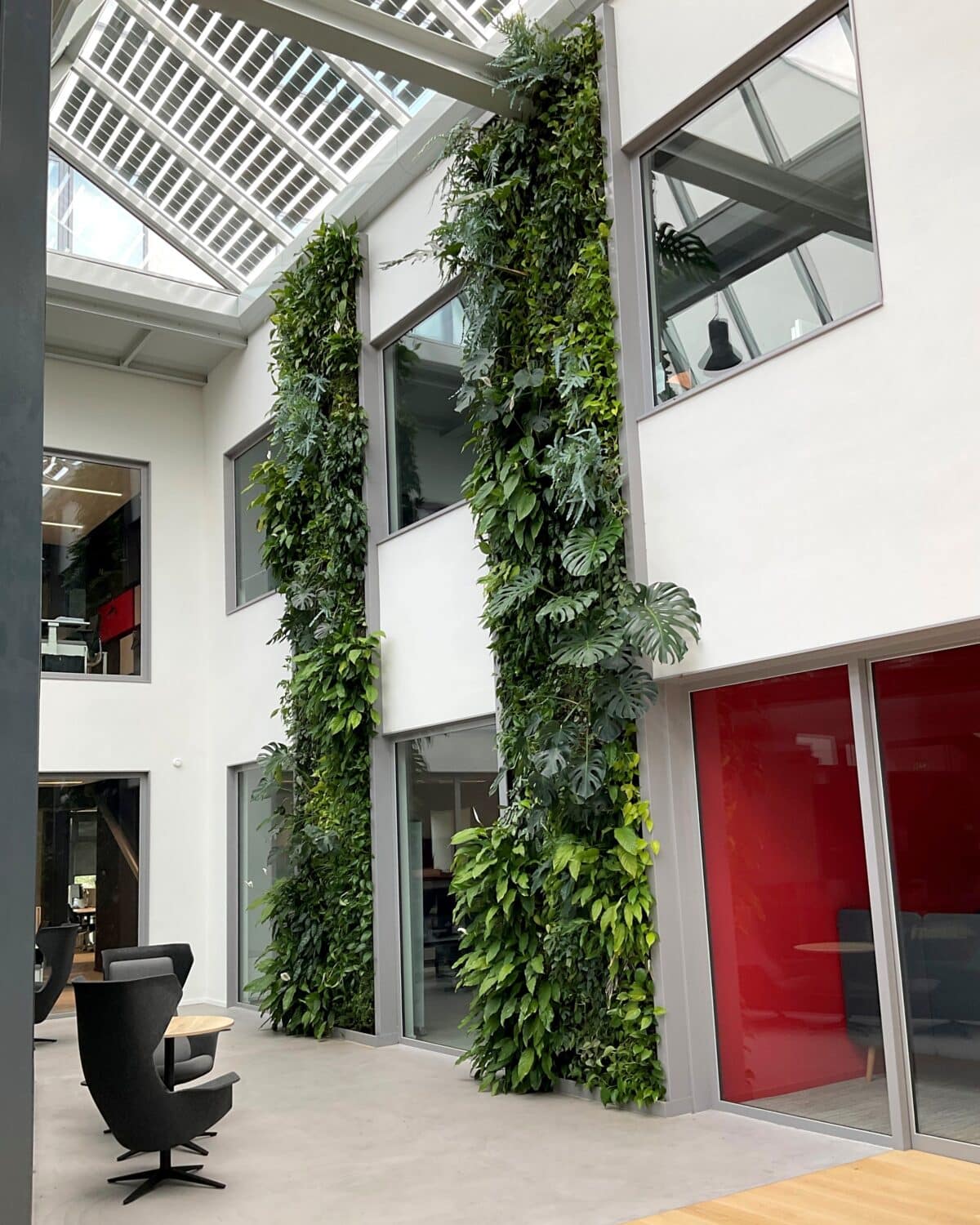 Levende groene muur Sempergreen Mercedes Benz