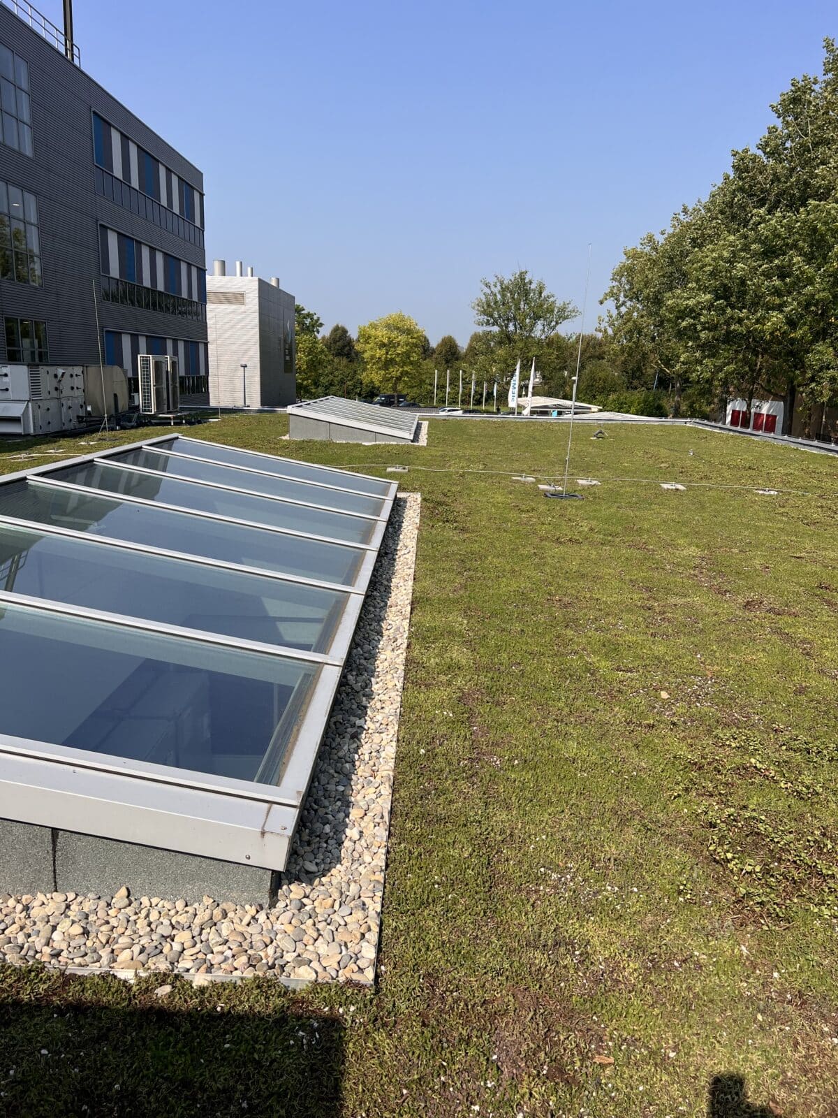 milieuvriendelijk ontwerp groendak Zoetermeer