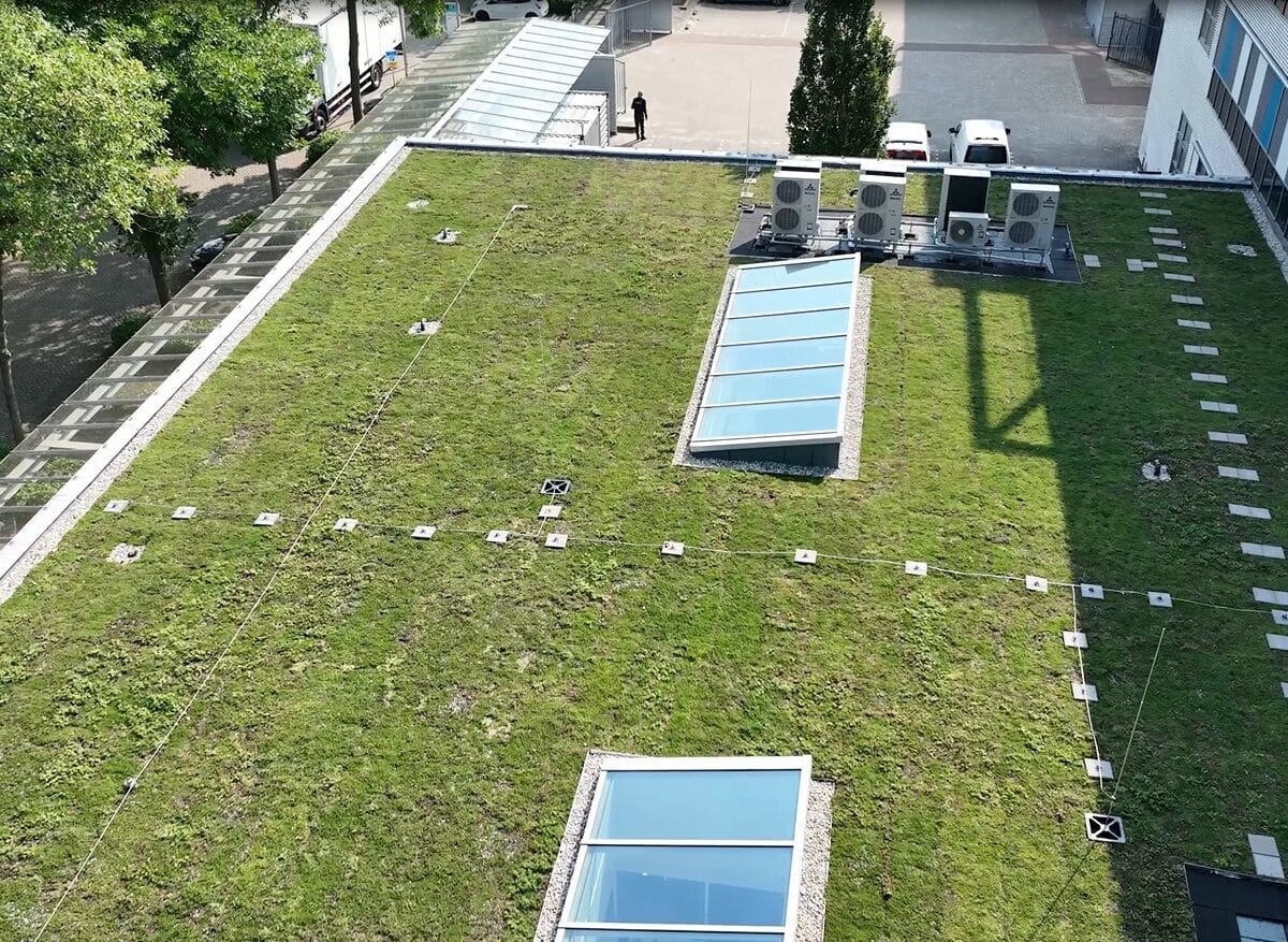 sedum planten op groendak Zoetermeer Siemens Dutch Tech Campus