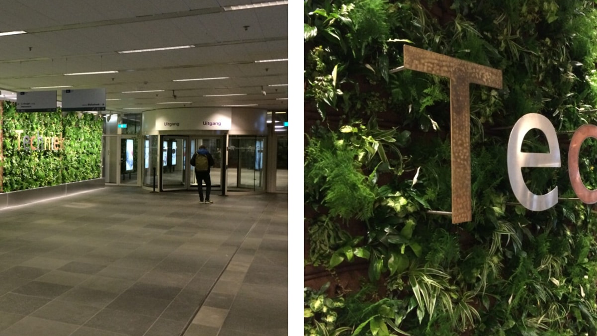 SemperGreenwall Amsterdam University of Applied Sciences Amsterdam