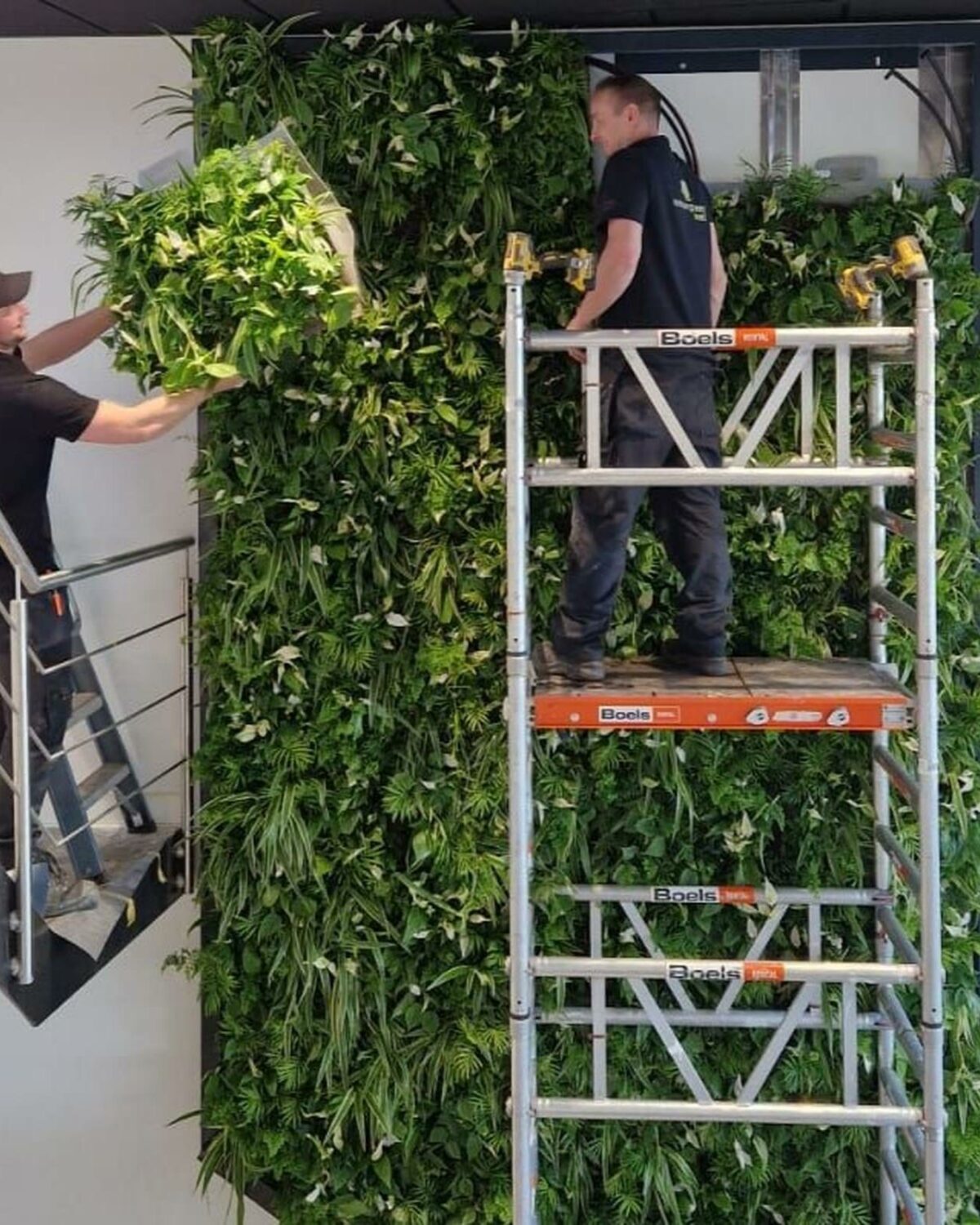sempergreen sustainable renovation green indoor wall