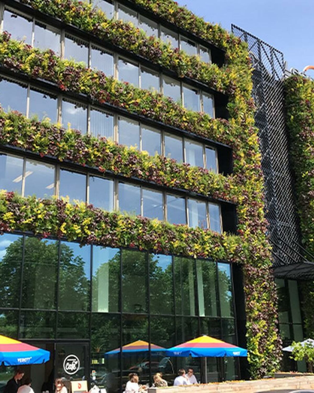 sempergreen sustainable renovation greenhouse-antwerp