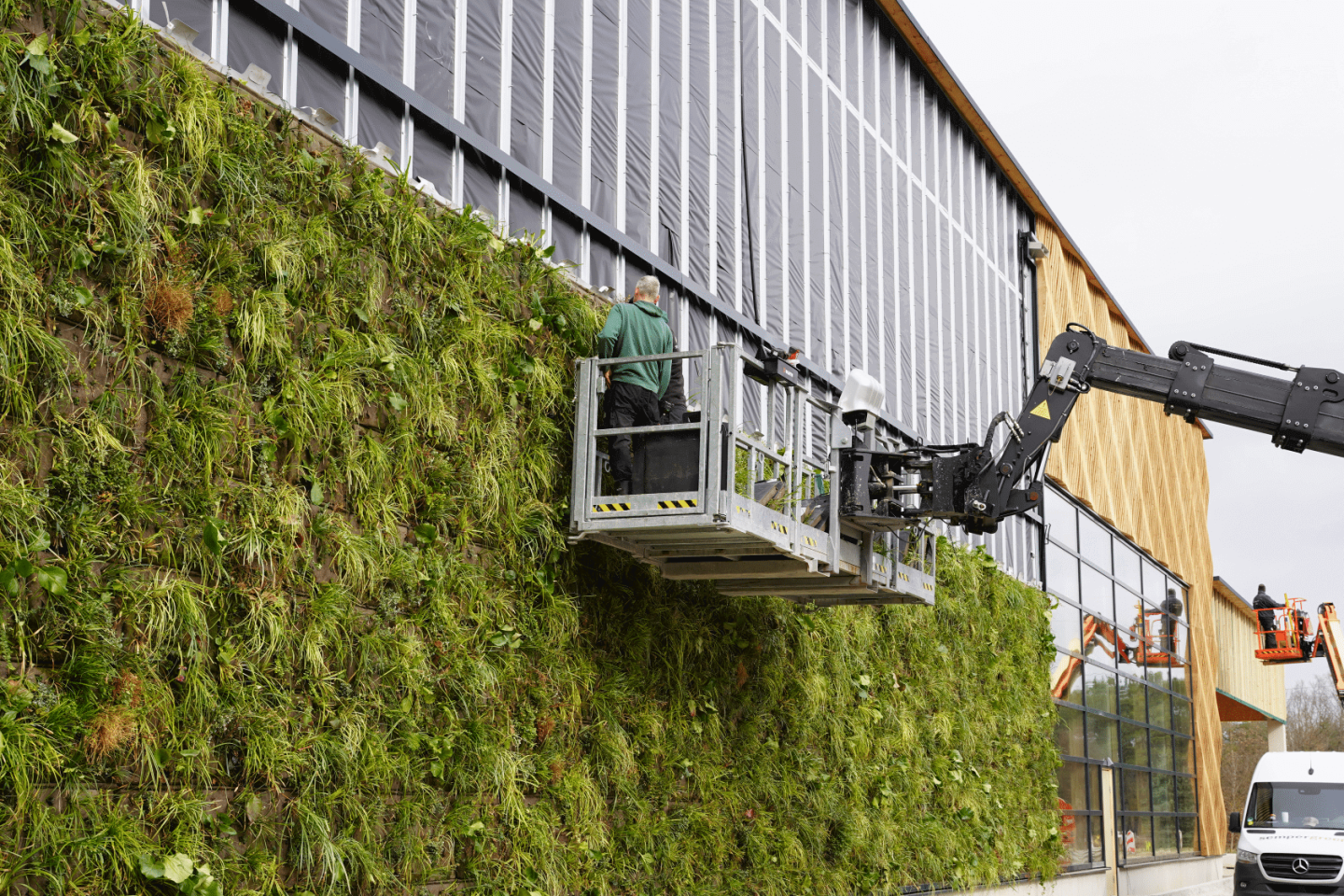 green renovation sustainable solutions banner