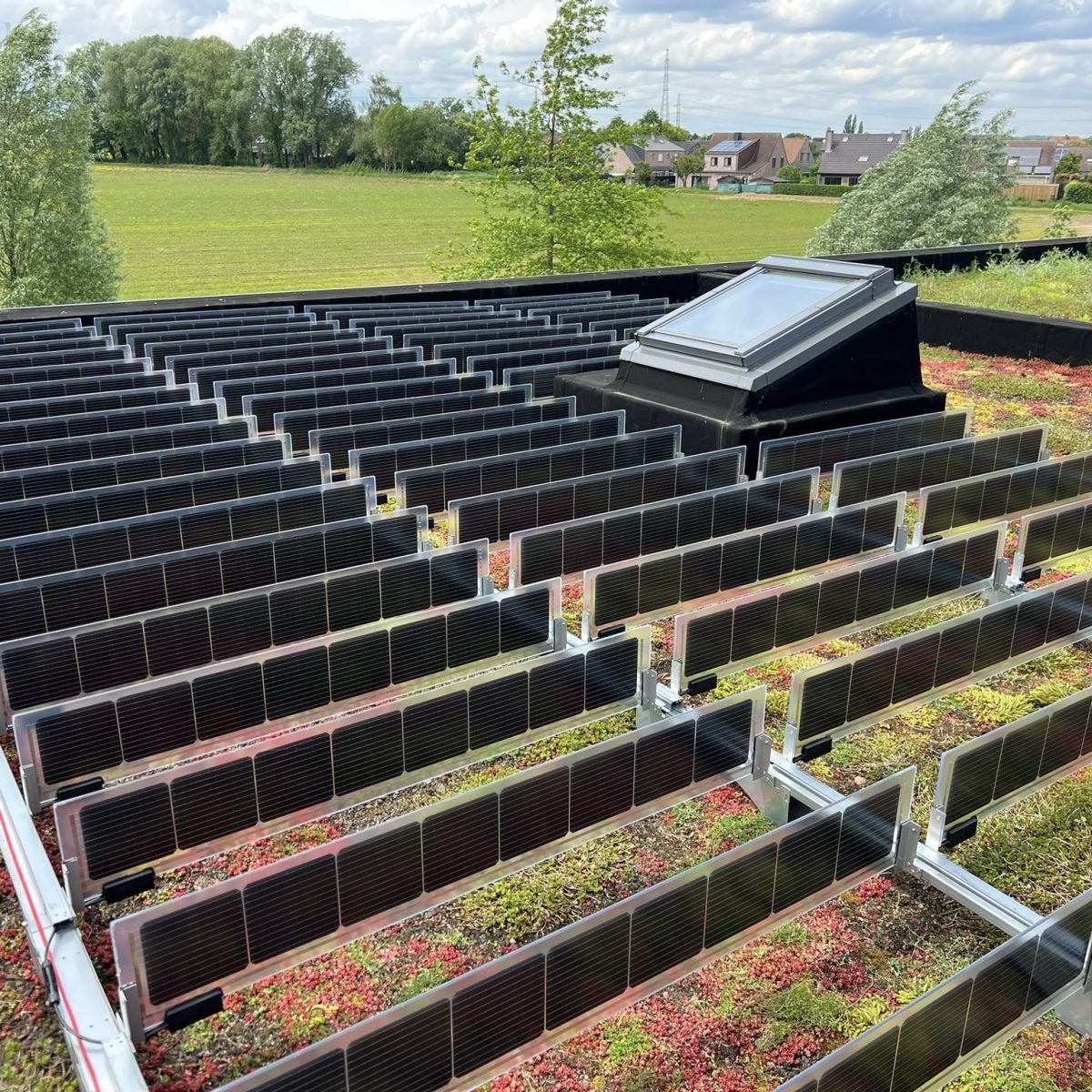 green renovation sustainable solutions over easy solar