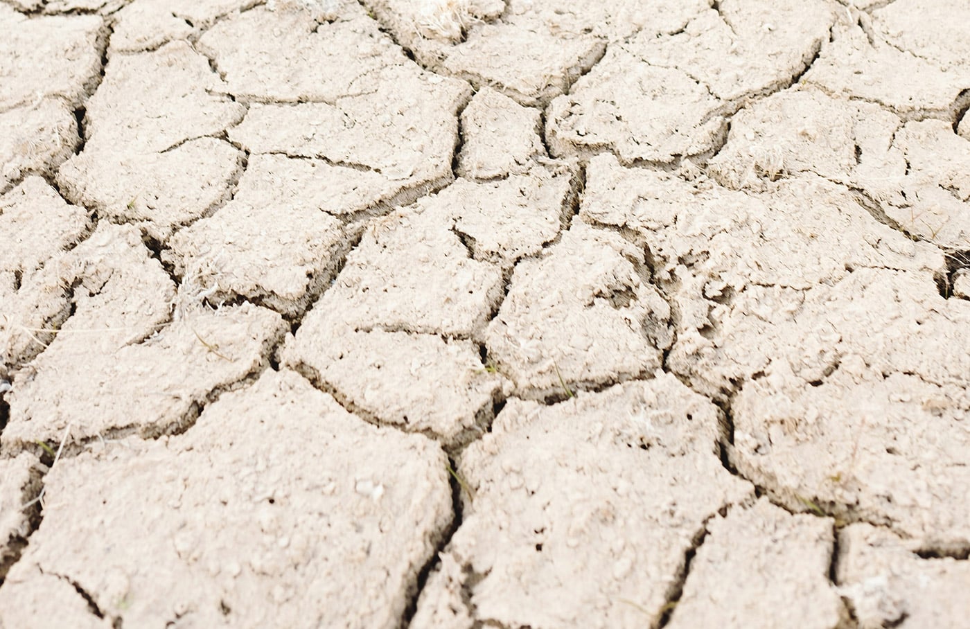 Saving drinking water by reusing rainwater