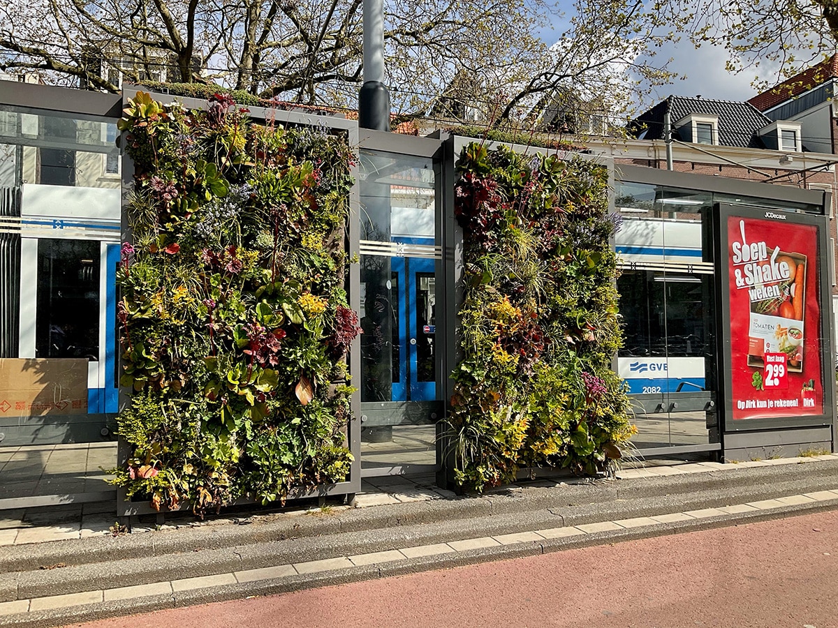 SempergreenWall tram stop Amsterdam