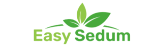 Easy Sedum Logo