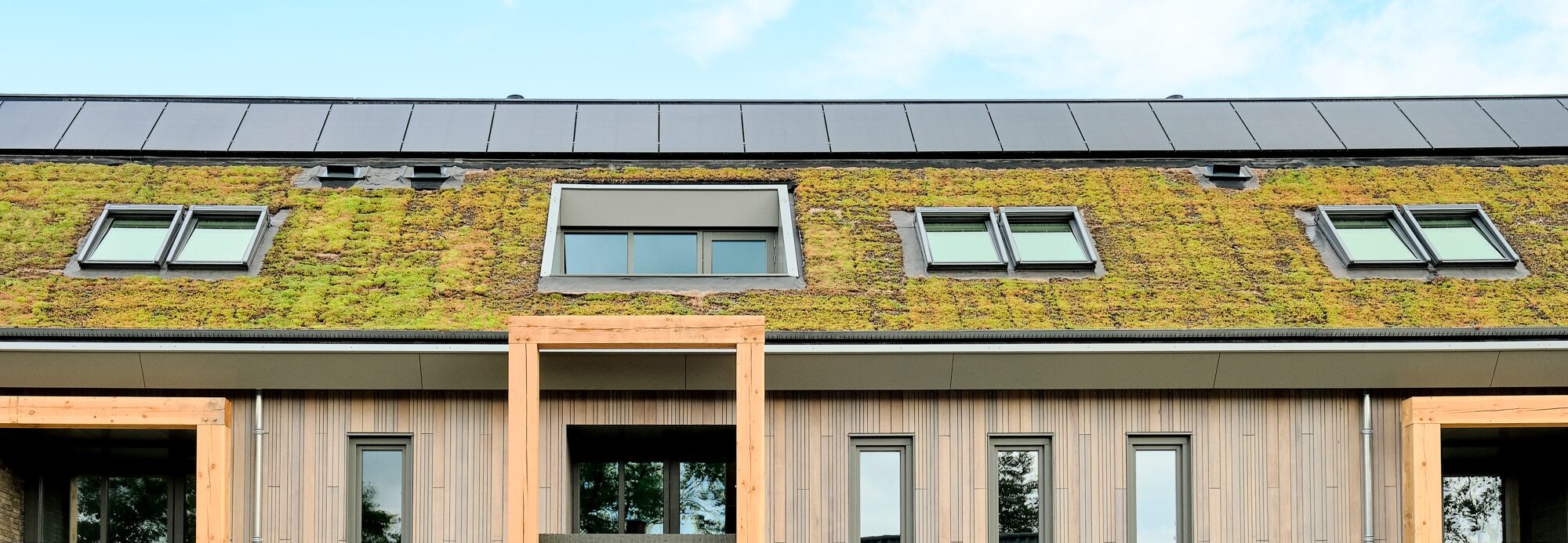 toit en sedum en pente Sempergreen Oirschot