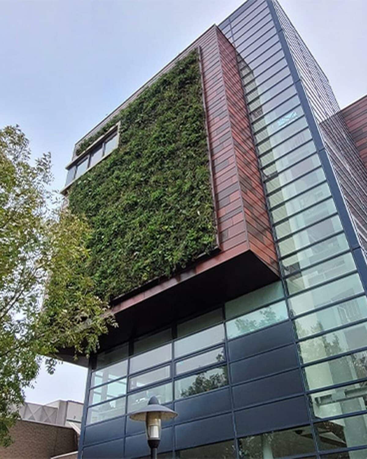 sempergreen sustainable renovation green mundus college