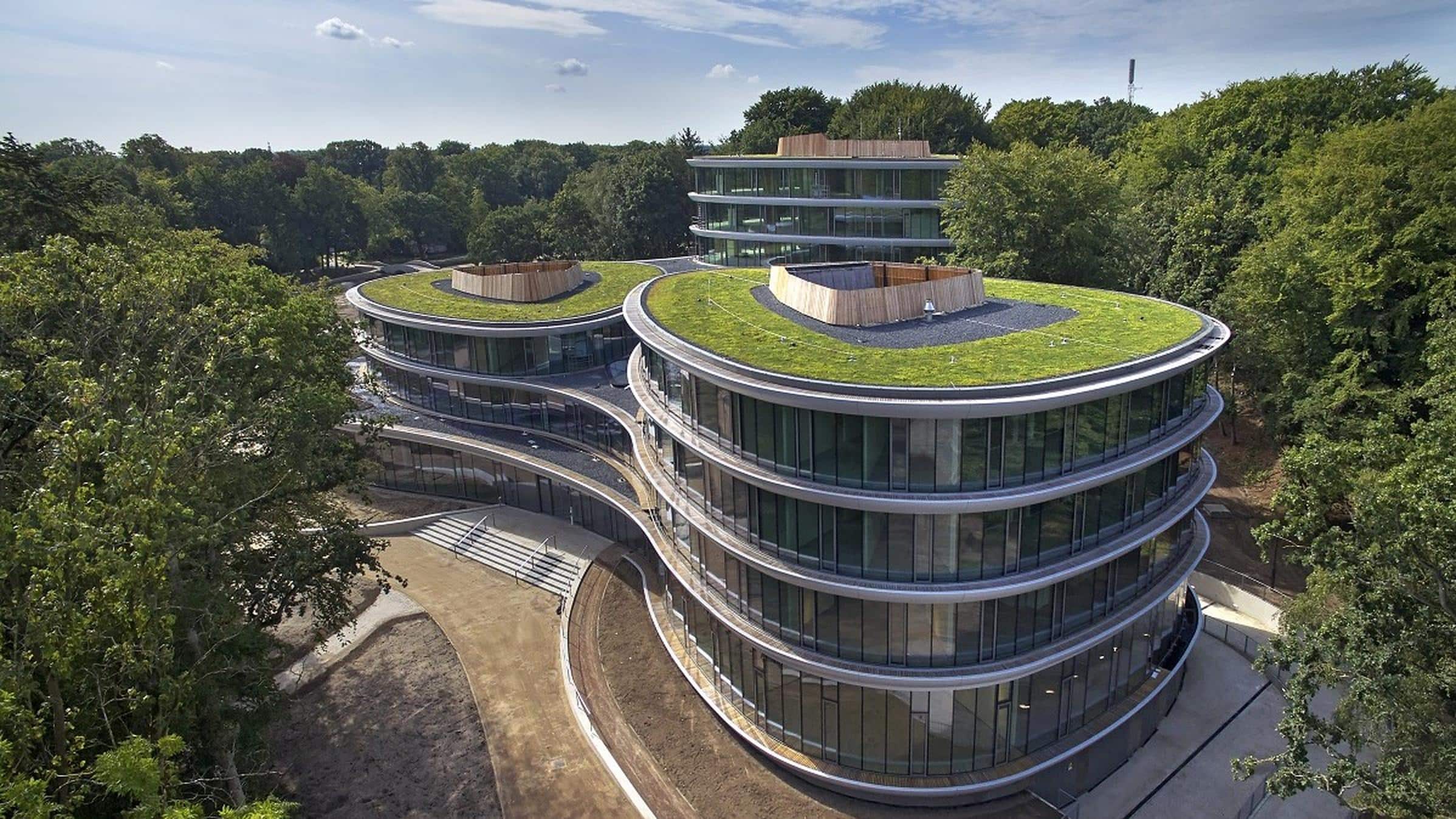 Technische Aspekte der ökologischen Sanierung begrünung flachdach