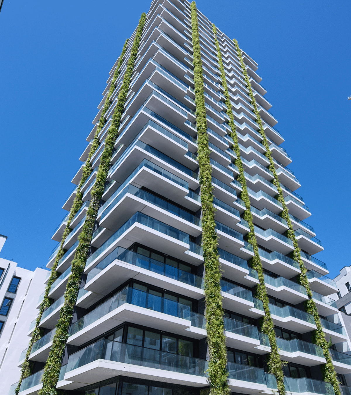 Sempergreen walls