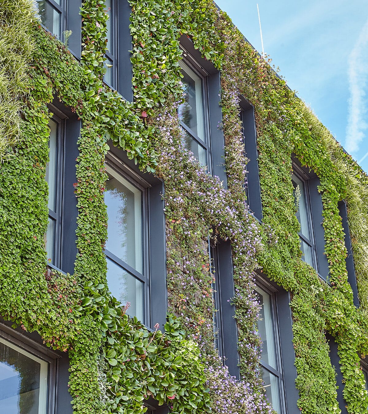 Sempergreen living wall Moers ENNI