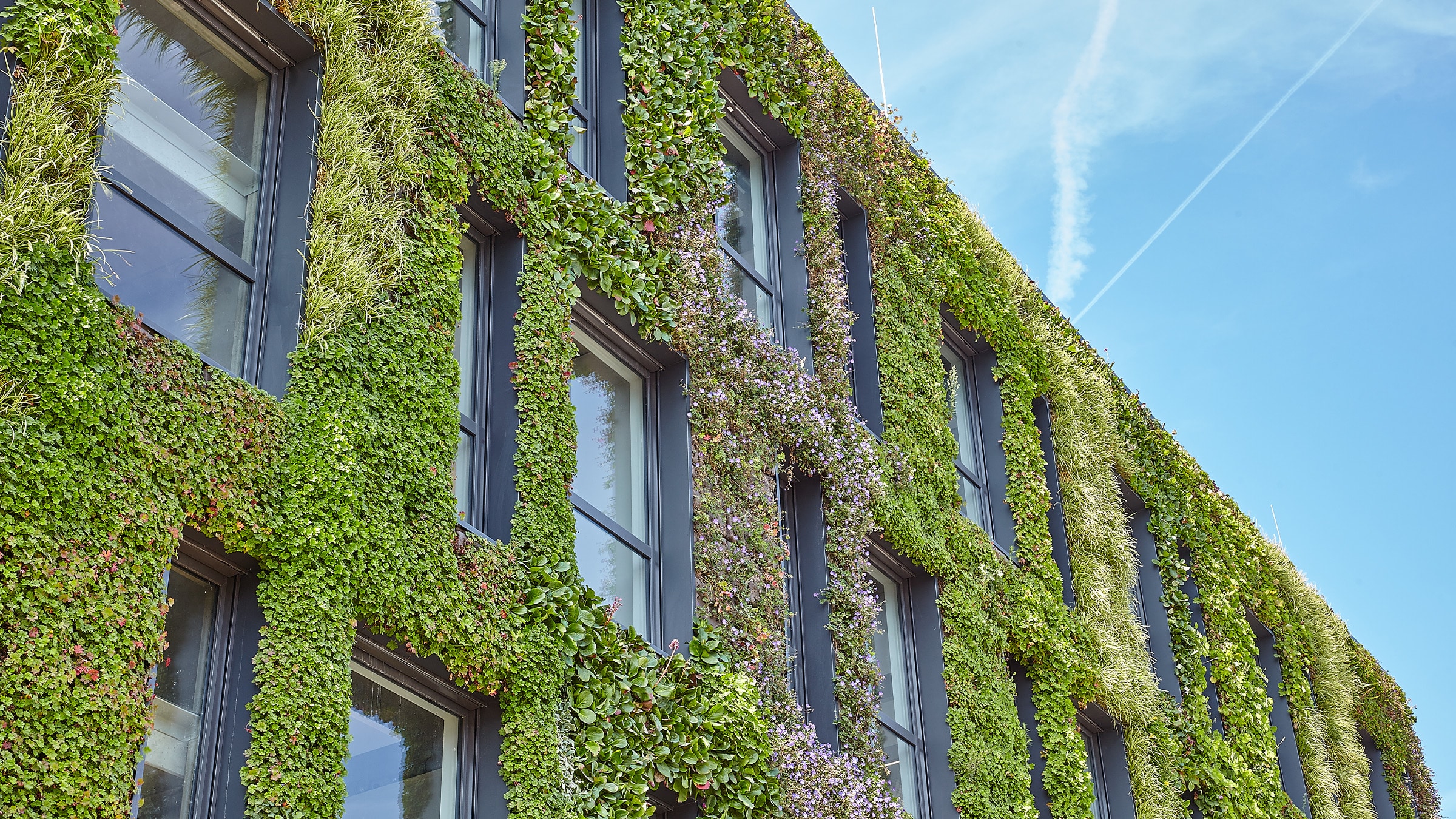 Sempergreen living wall Moers ENNI