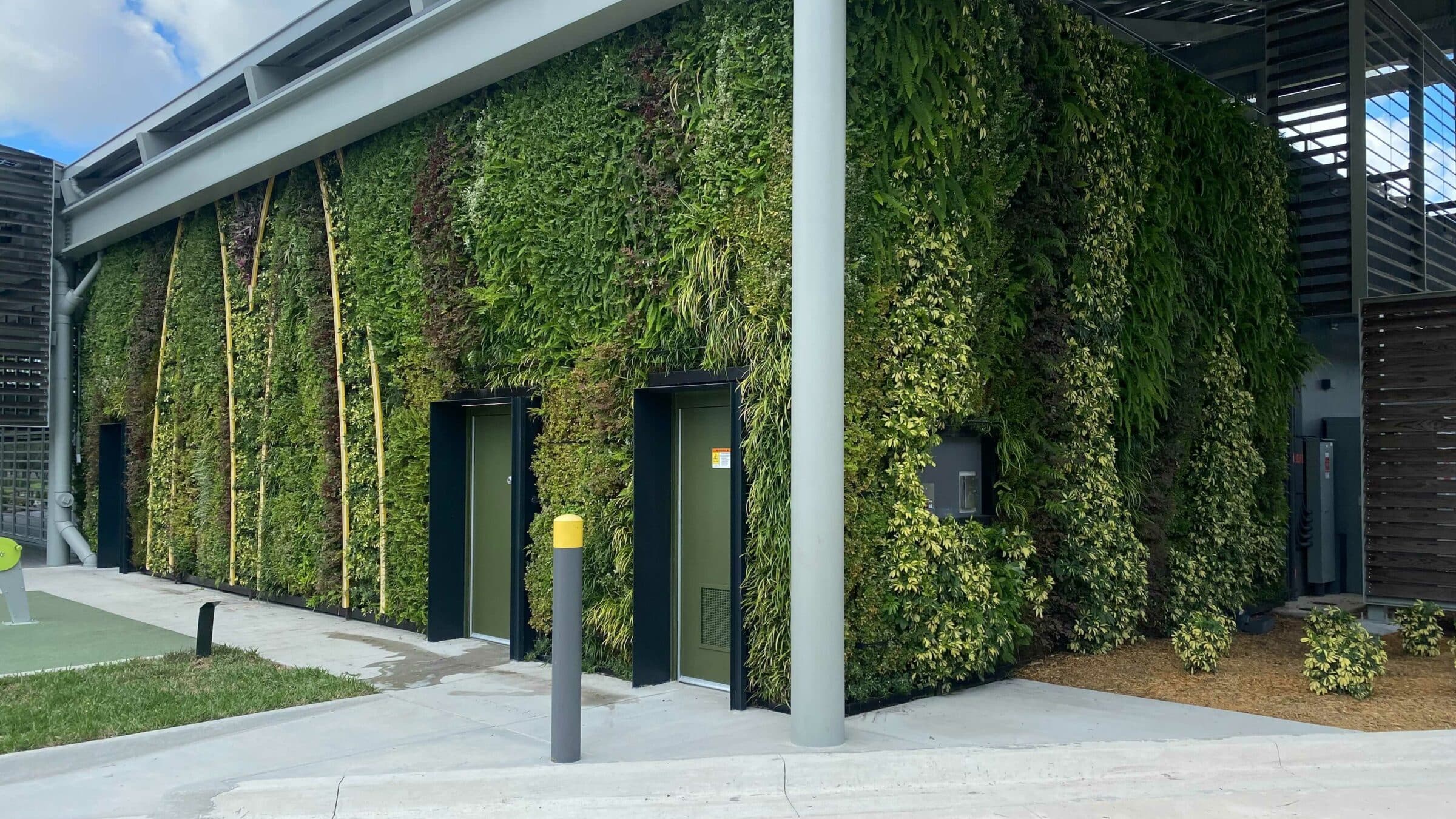 Sempergreen McDonalds Orlando pflanzen für dachbegrünung