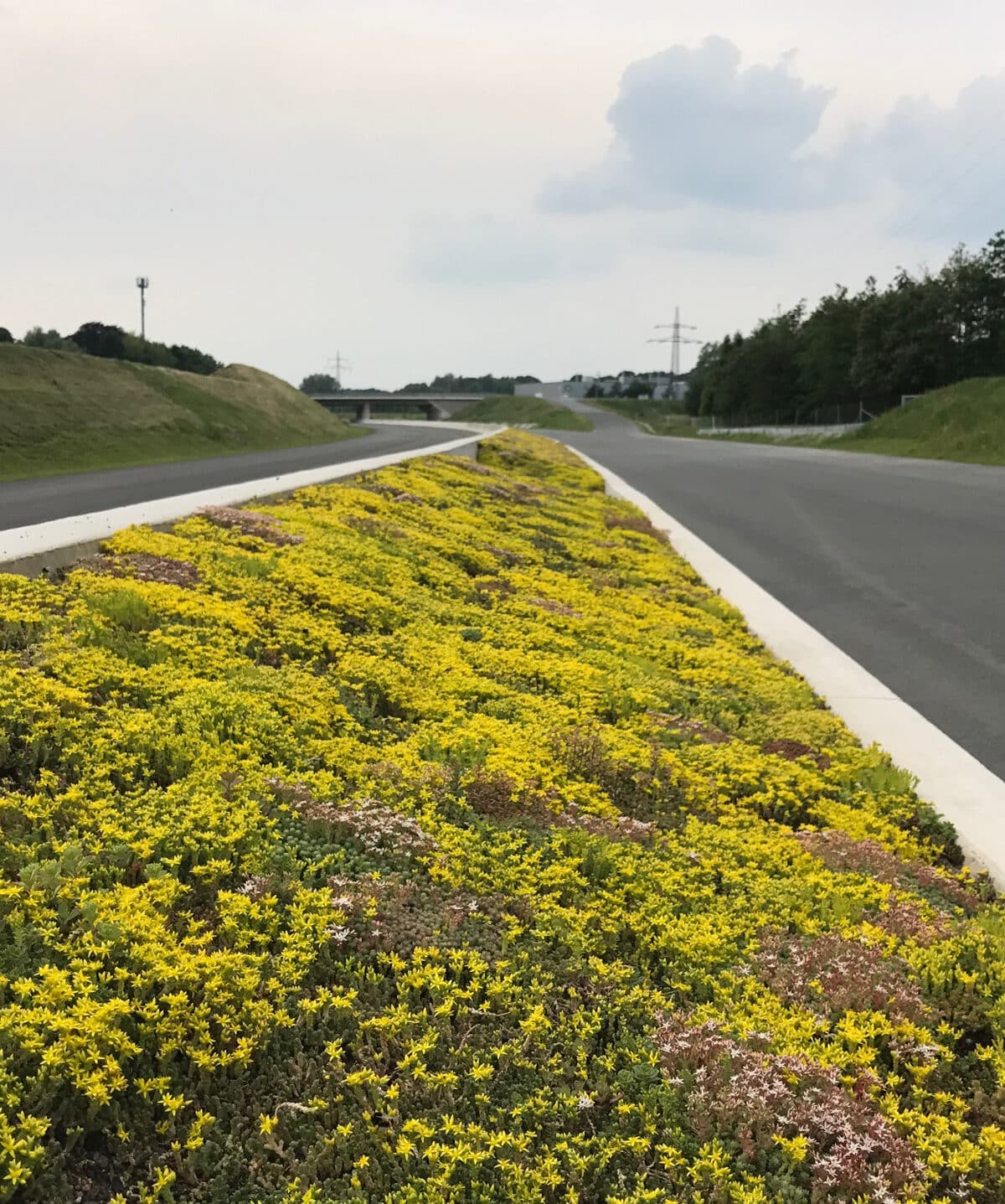 Sempergreen Autobahn A33 Bielefeld