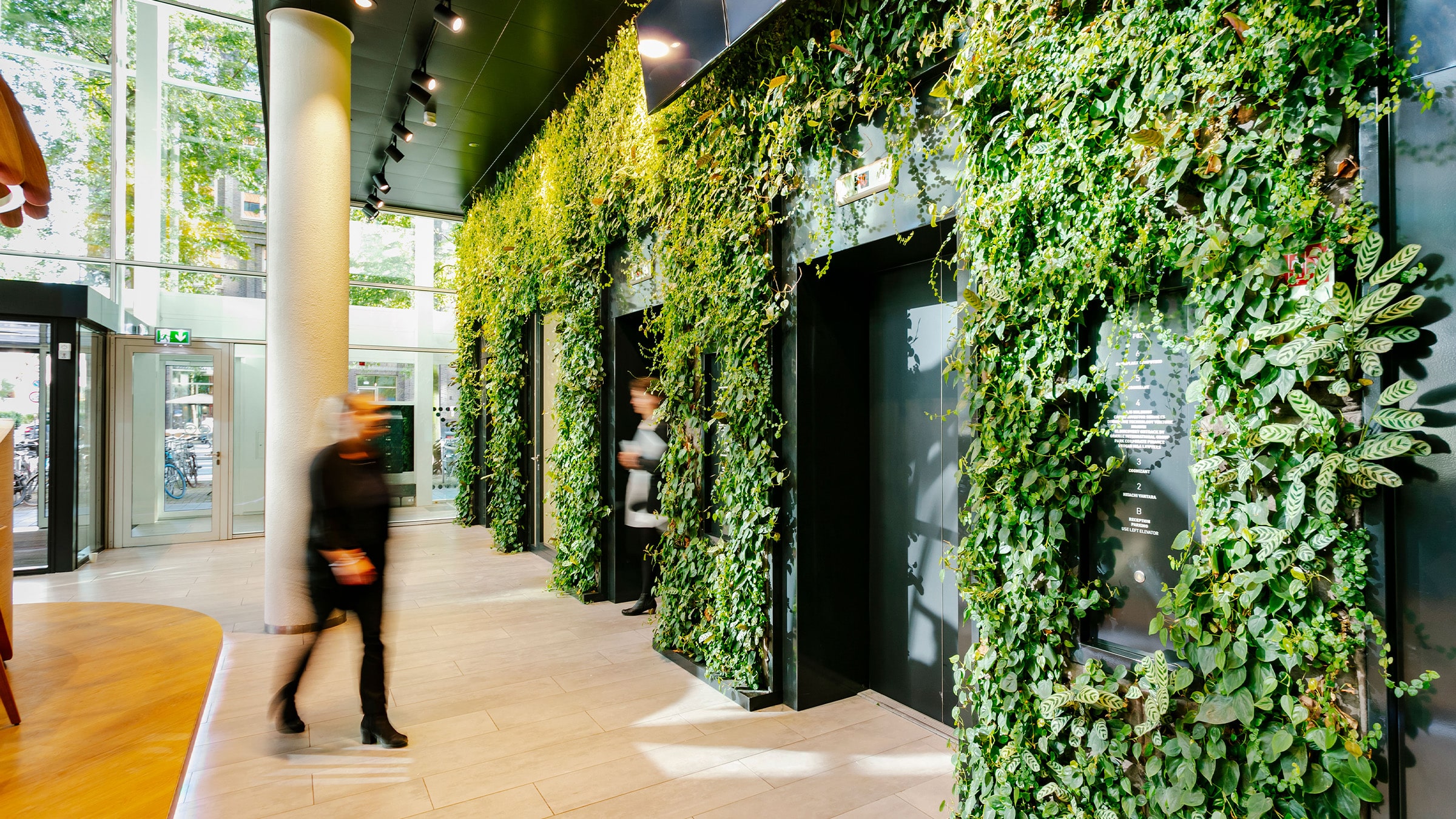 Sempergreen living wall FOZ Amsterdam lift