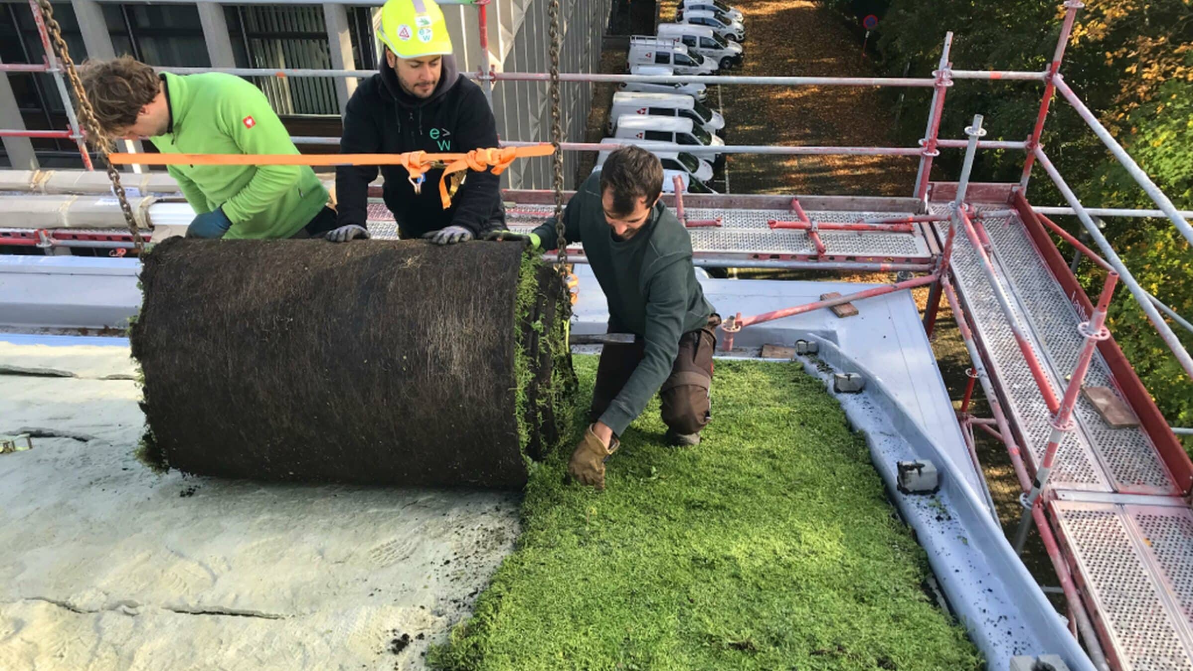 Sempergreen Sedummats